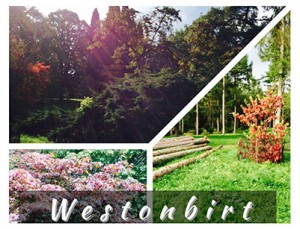 Westonbirt, The National Arboretum